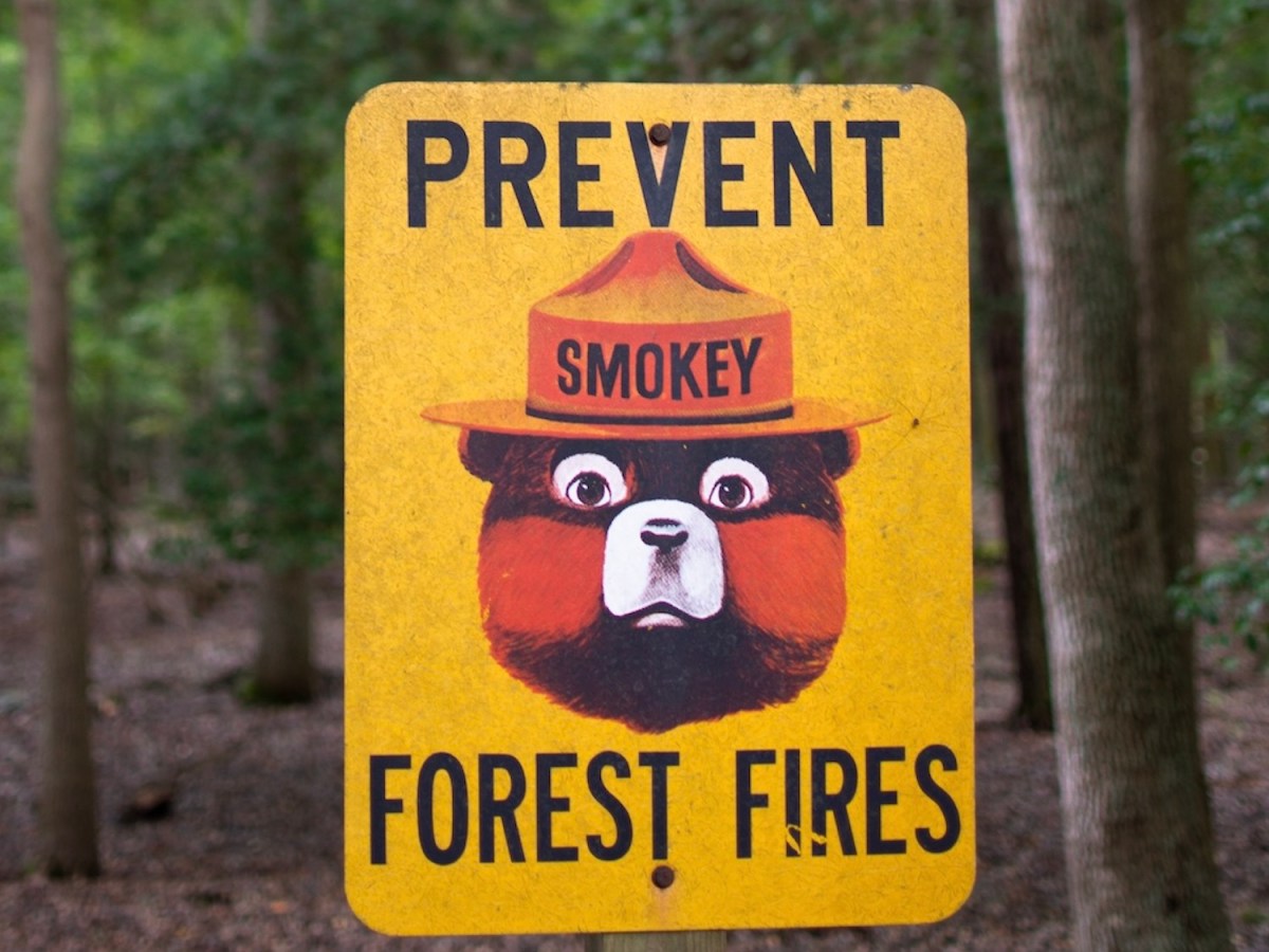 Florida man charged with stealing Smokey Bear signs in Orlando, other cities and selling them on Facebook