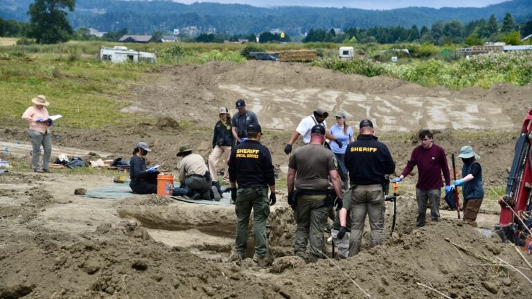 At least 117 dead dogs found in 'horrific scene' at California 'no-kill' shelter