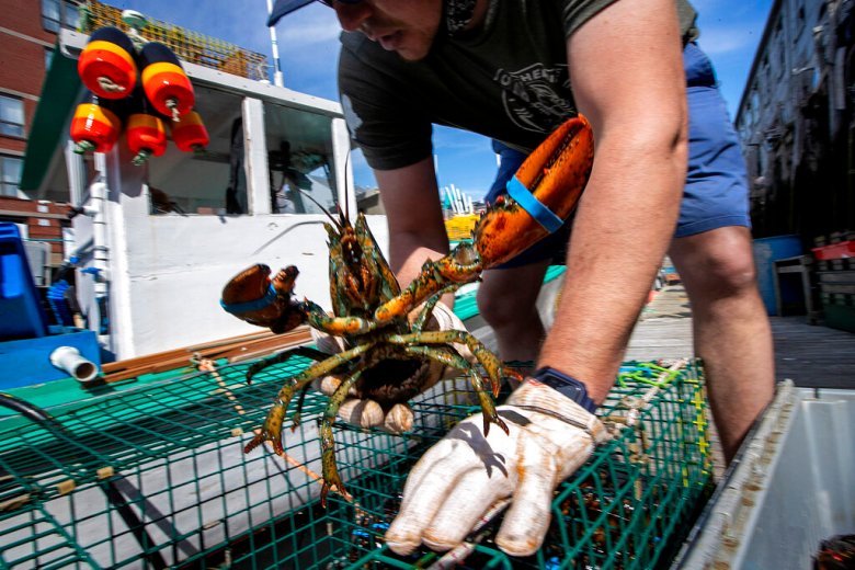 Blue Economy Center is key to Maine’s ocean future
