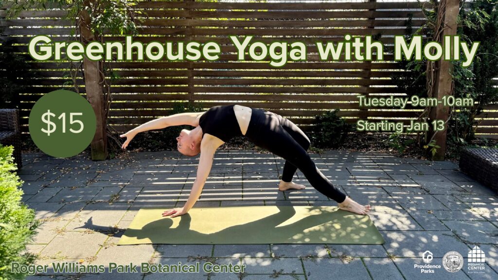 City of Providence Greenhouse Yoga with Molly