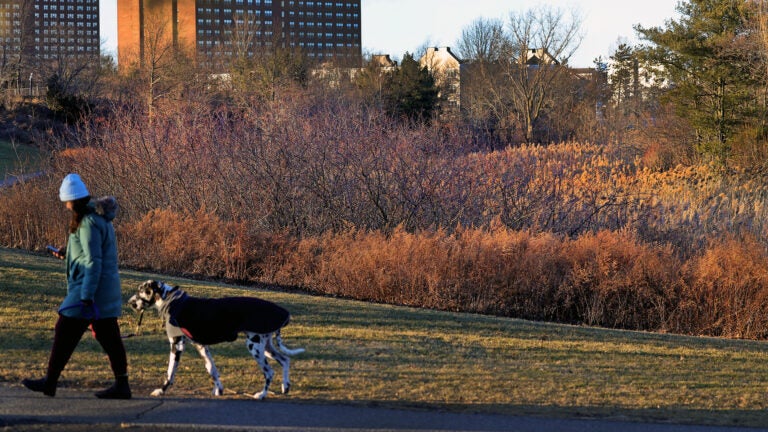 Beverly police issued a coyote warning after a dog was attacked Monday at a trailhead.