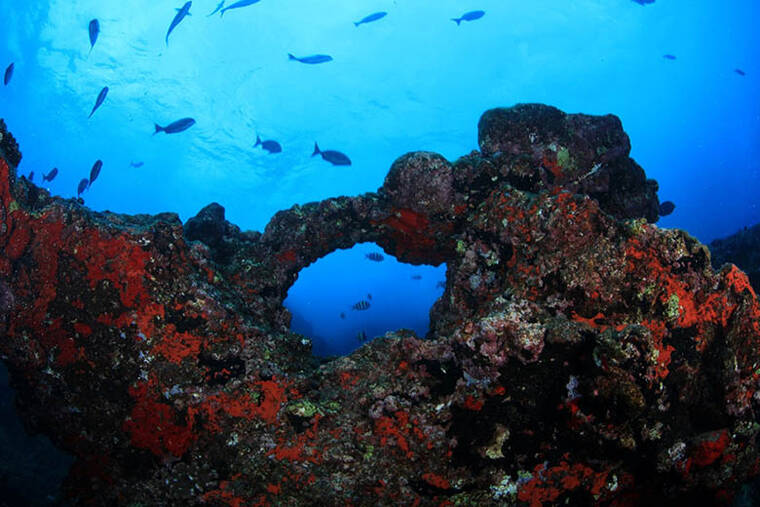 Trump opens protected Pacific waters to commercial fishing