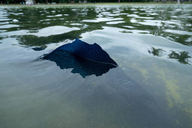 Trump’s renovated Lincoln Memorial pool starts peeling