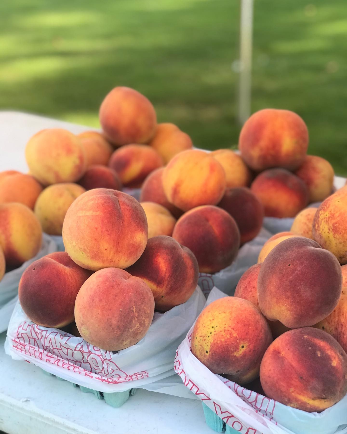Fresh peaches piled in cardboard baskets at an outdoor farmers market vendor table in Birmingham