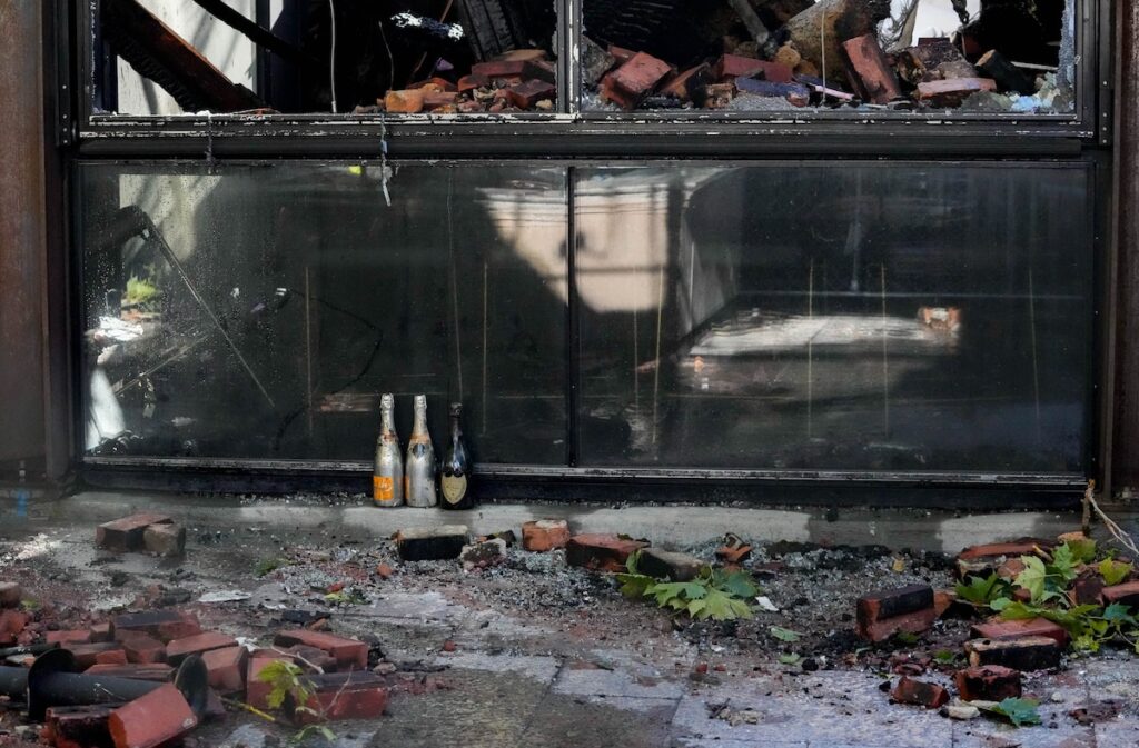This is what the future of London Belle, Los Tapatios could look like