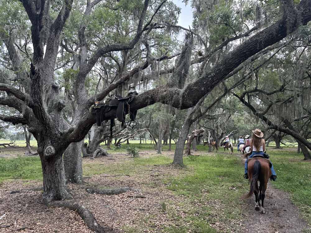 Experience Old Florida: Local attractions evoke pre-Disney Orlando