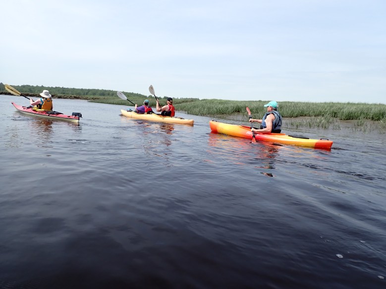 Scarborough Marsh a unique paddling experience