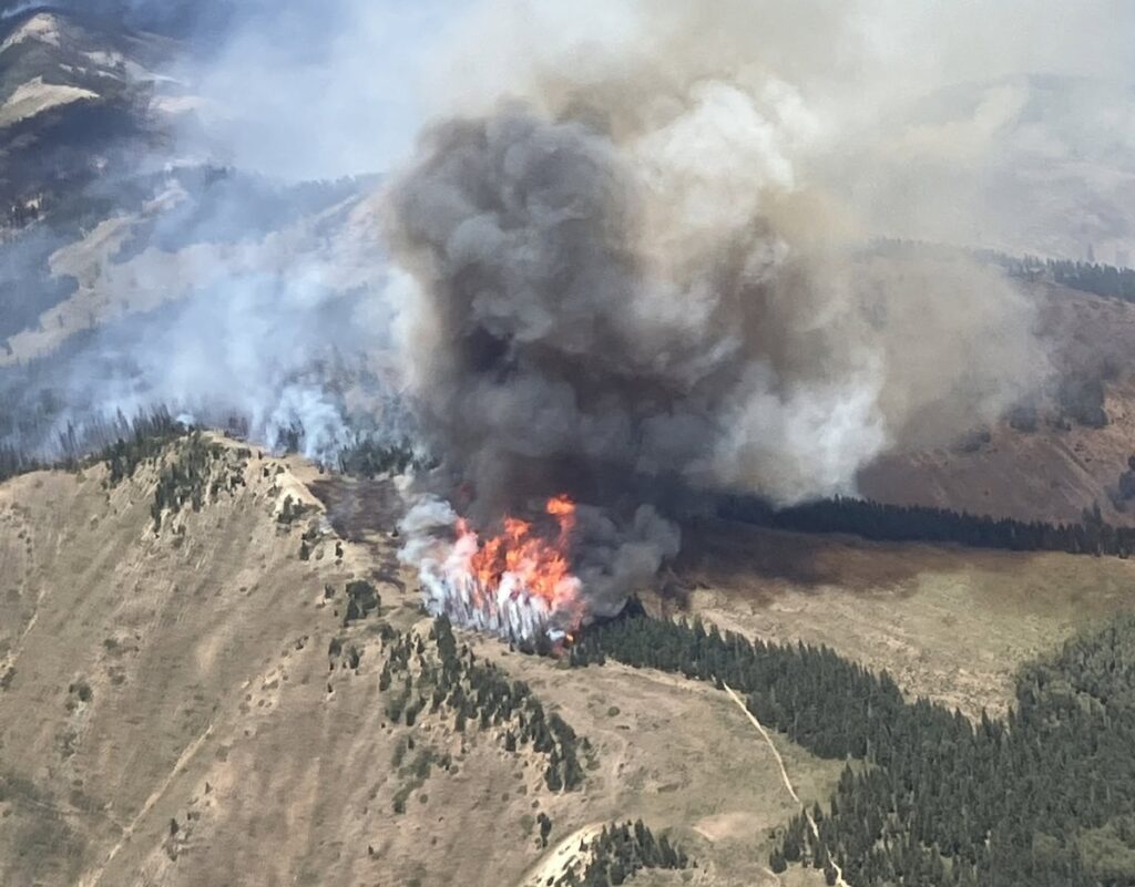 Babylon Fire reaches 50% containment after weekend gains