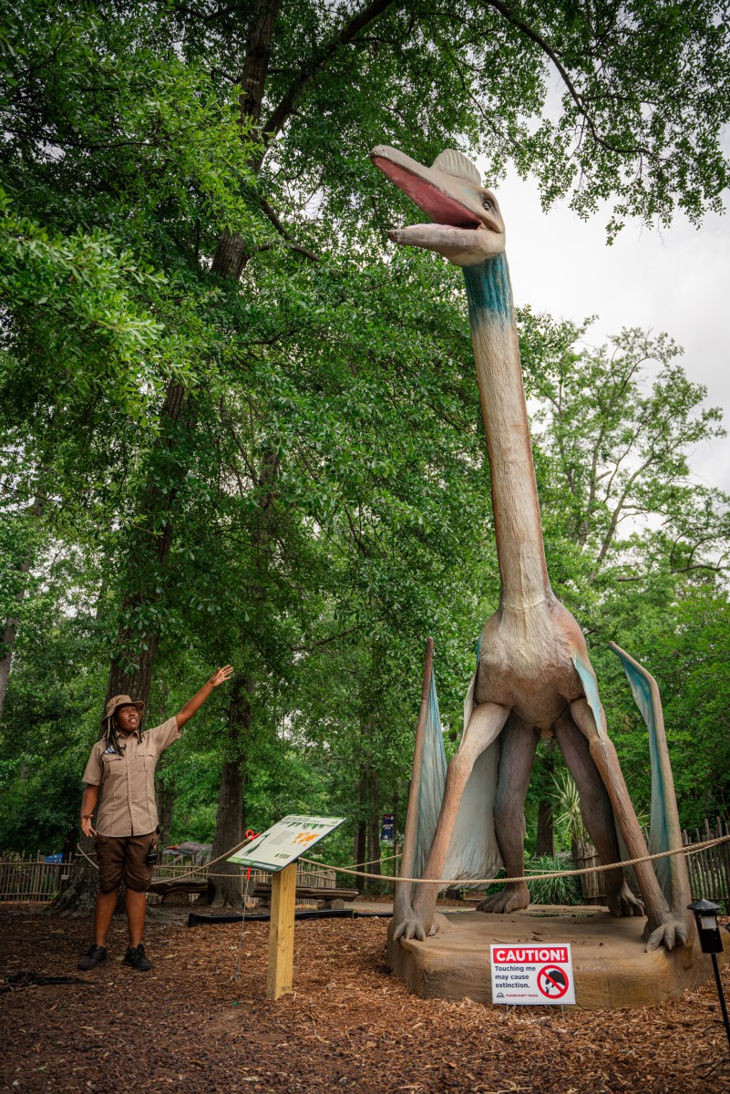 Birmingham Zoo (Nathan Watson / Bham Now)