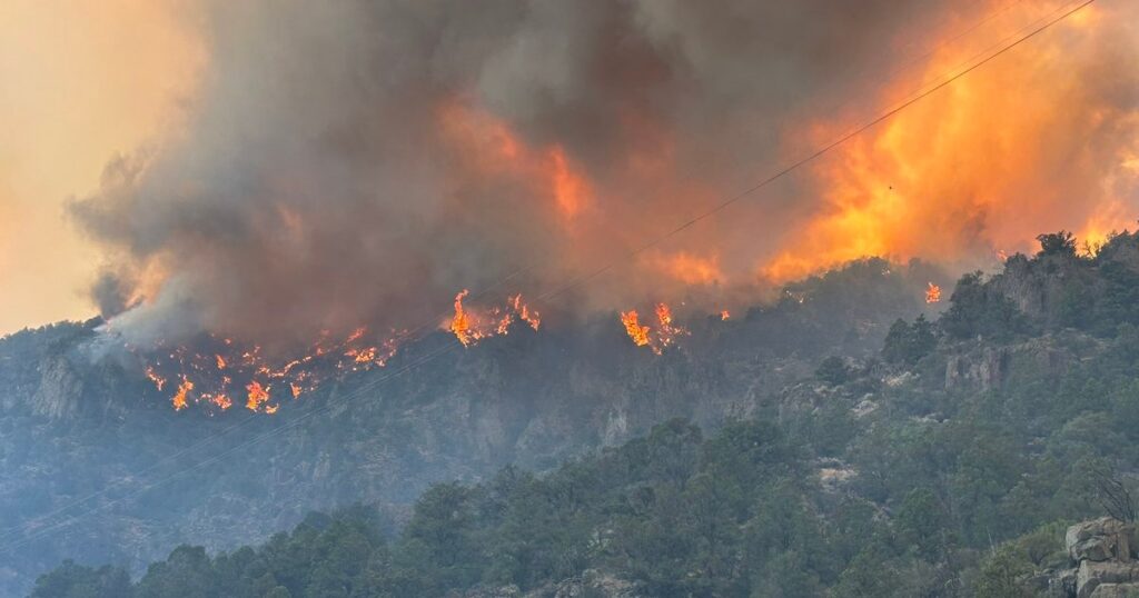 Destruction in Beaver has Utah’s political leaders pushing forest management