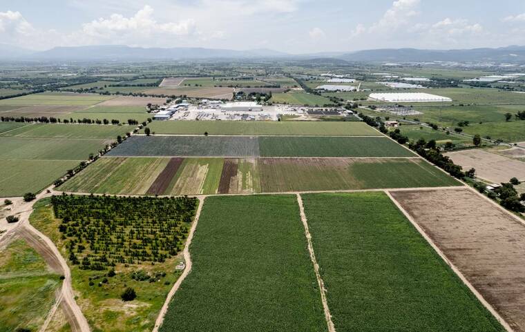 Cyclospora outbreak sickens 11,000; FDA insists food supply safe