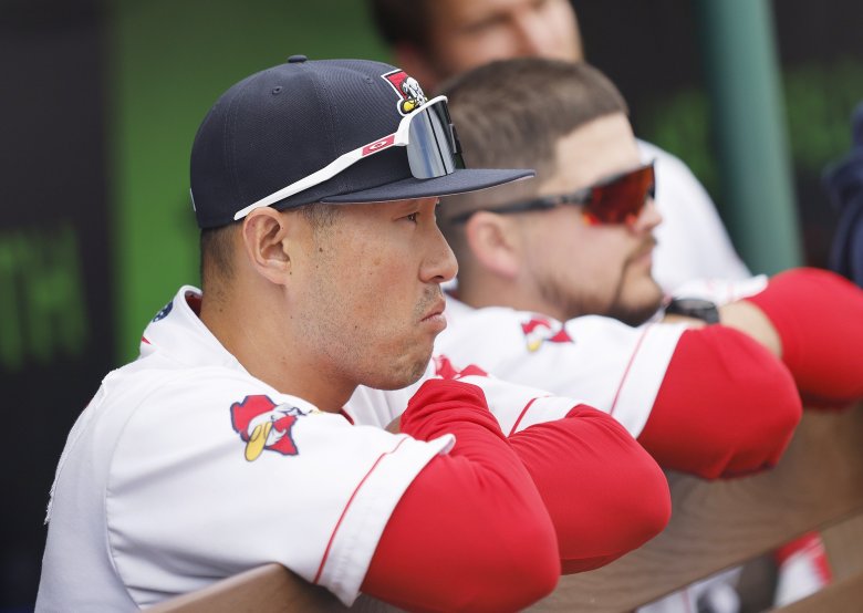 Sea Dogs stroll past Rumble Ponies