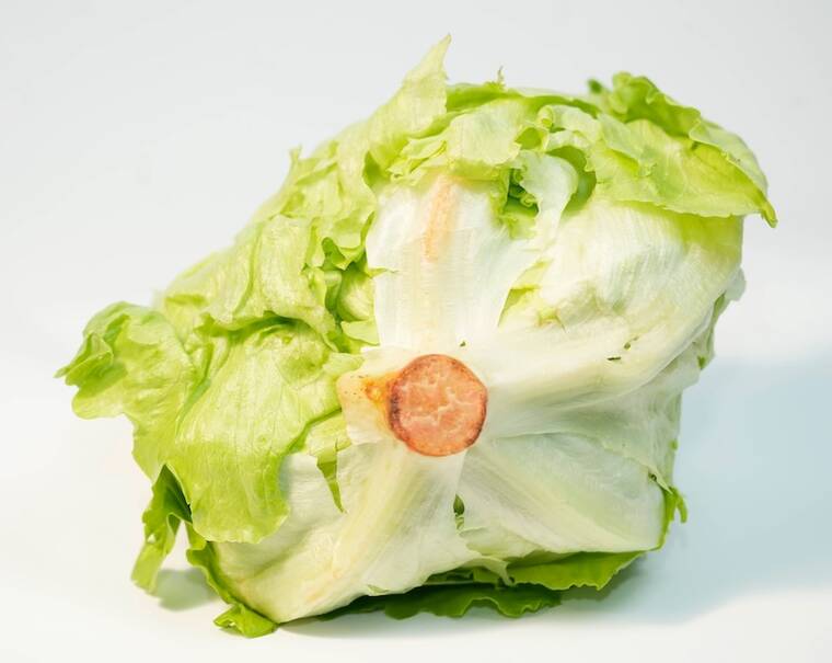 Taco Bell lettuce supplied by Taylor Farms linked to cyclosporiasis outbreak, Washington Post reports