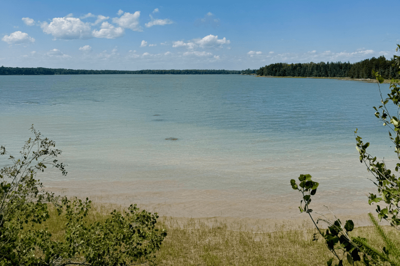 Exceptional Downeast Oceanfront Estate for Only $169,900!