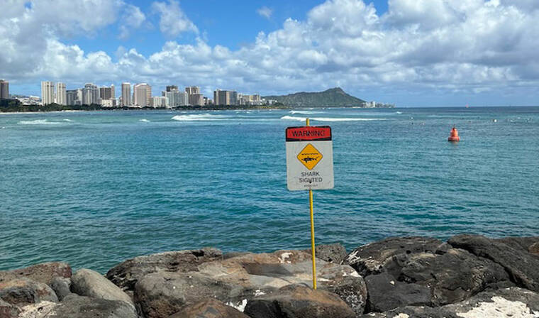 COURTESY HONOLULU OCEAN SAFETY DEPARTMENT
                                Shark warning signs have been posted.