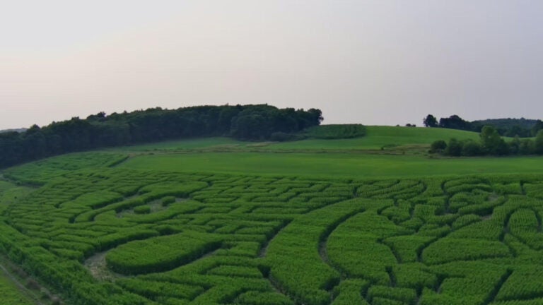 After jokes on GBH, state senator says agritourism like corn mazes are serious business