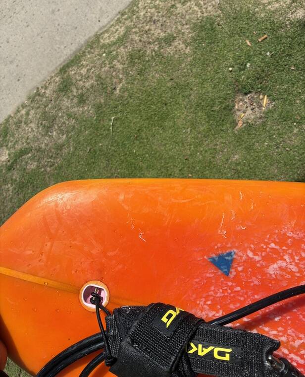 COURTESY HONOLULU OCEAN SAFETY DEPARTMENT
                                Ocean Safety has photos of the bite marks left on the surfboard.