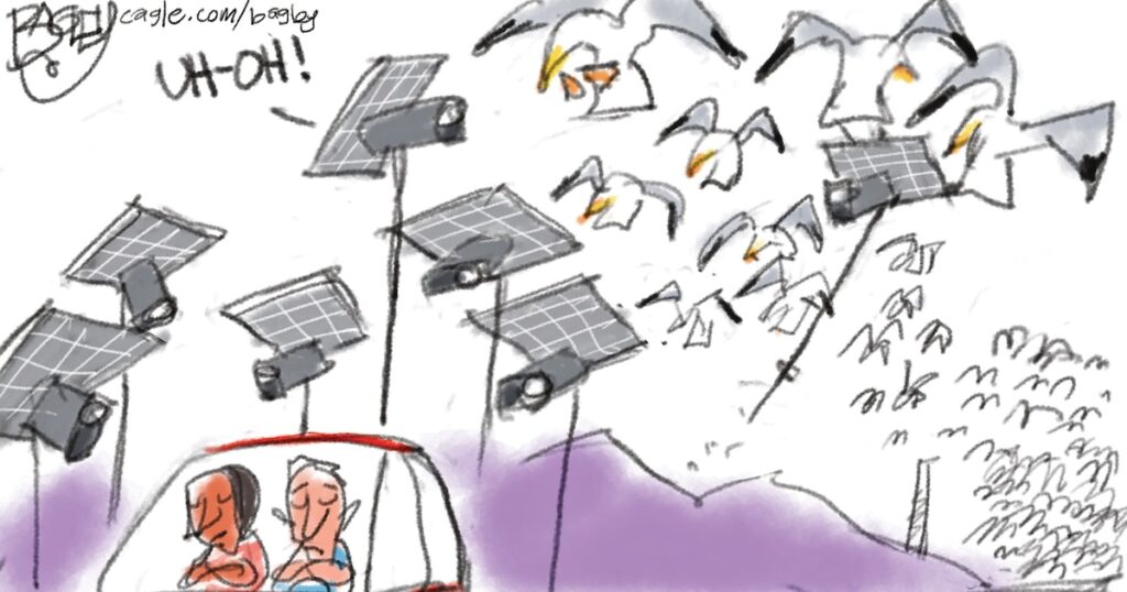 Bagley Cartoon: Miracle of the Gulls 2