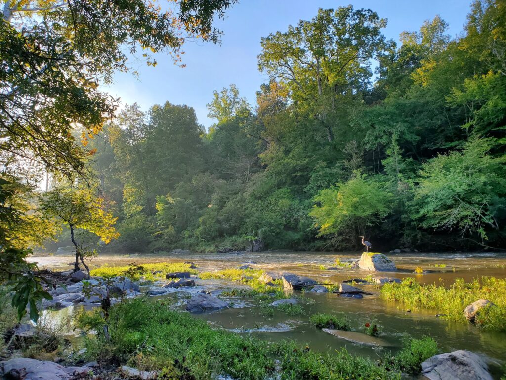 The Festival for the Eno Is Back, But It Looks a Little Different