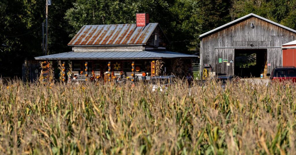 Lawrence County Honey Fest to shine a light on farming, agritourism in southern Ohio | Features/Entertainment