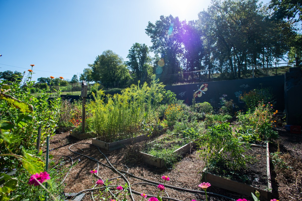 solar house communitygardens See how sustainable living can look at UAB’s FREE National Solar Tour on Oct. 3, 2026