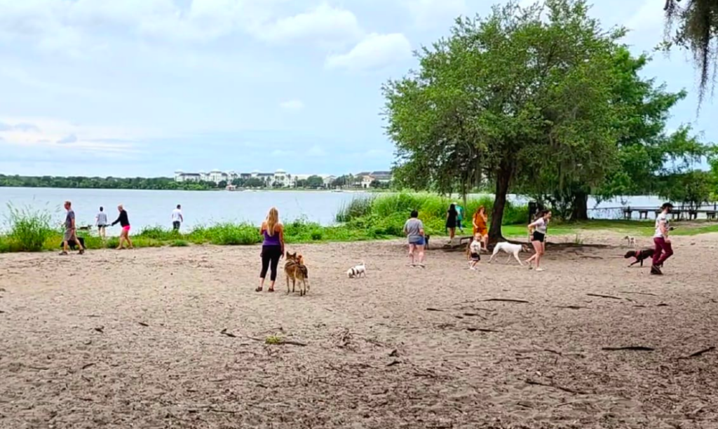 Winter Park advances plan for paid parking at Lake Baldwin Park, Dinky Dock