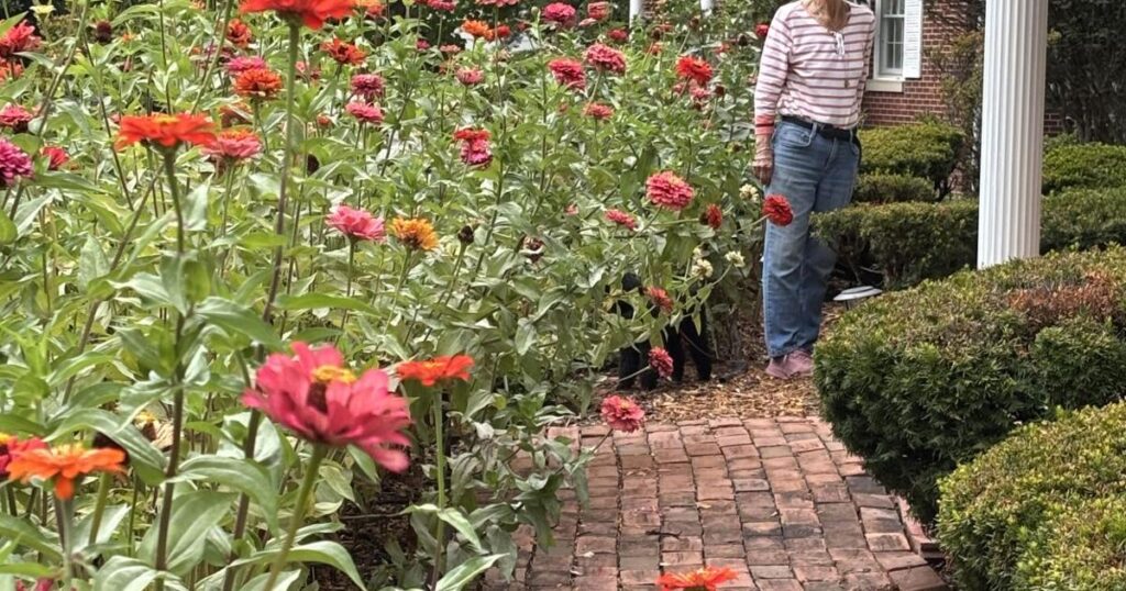 Garden Club's September Yard of the Month a reflection of mother-daughter bond