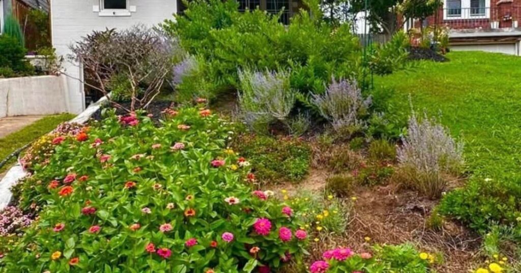 Garden Club's August Yard of the Month winner features 'waterfall of flowers'