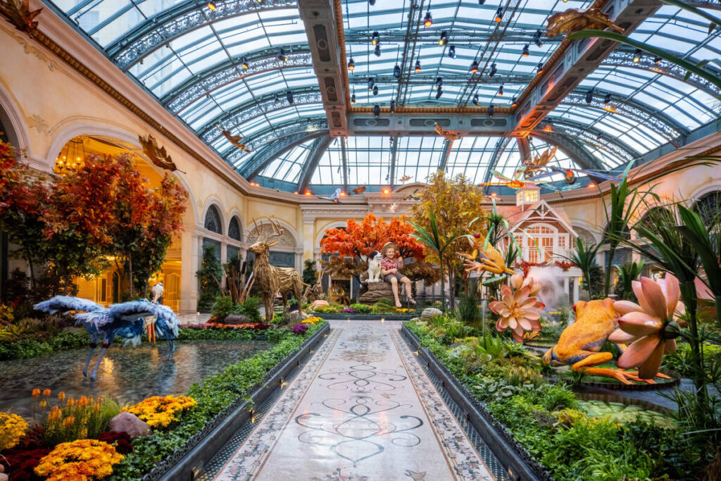 The South Bed display for fall 2026 at Bellagio’s Conservatory & Botanical Gardens features h ...
