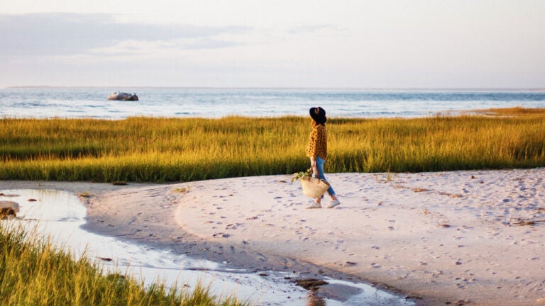 How to experience 'second summer' on Cape Cod right now