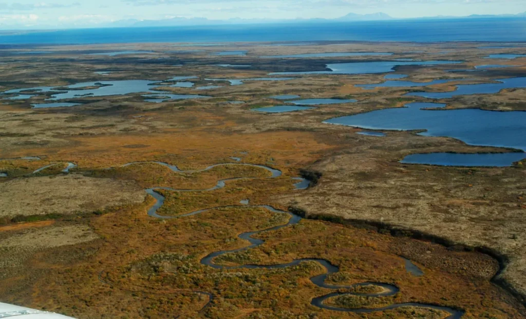 In court, Pebble developer says 27 salmon stand in the massive mine’s way