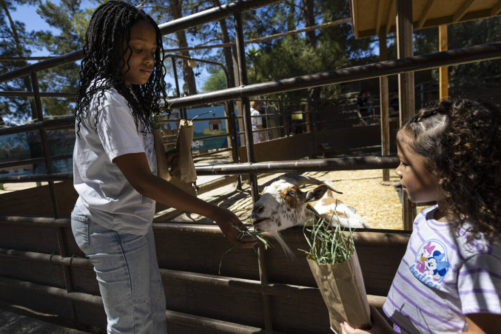 Raelynn, 8, left, and Journey, 4, both of North Las Vegas, feed a goat at the Barn Buddies Resc ...