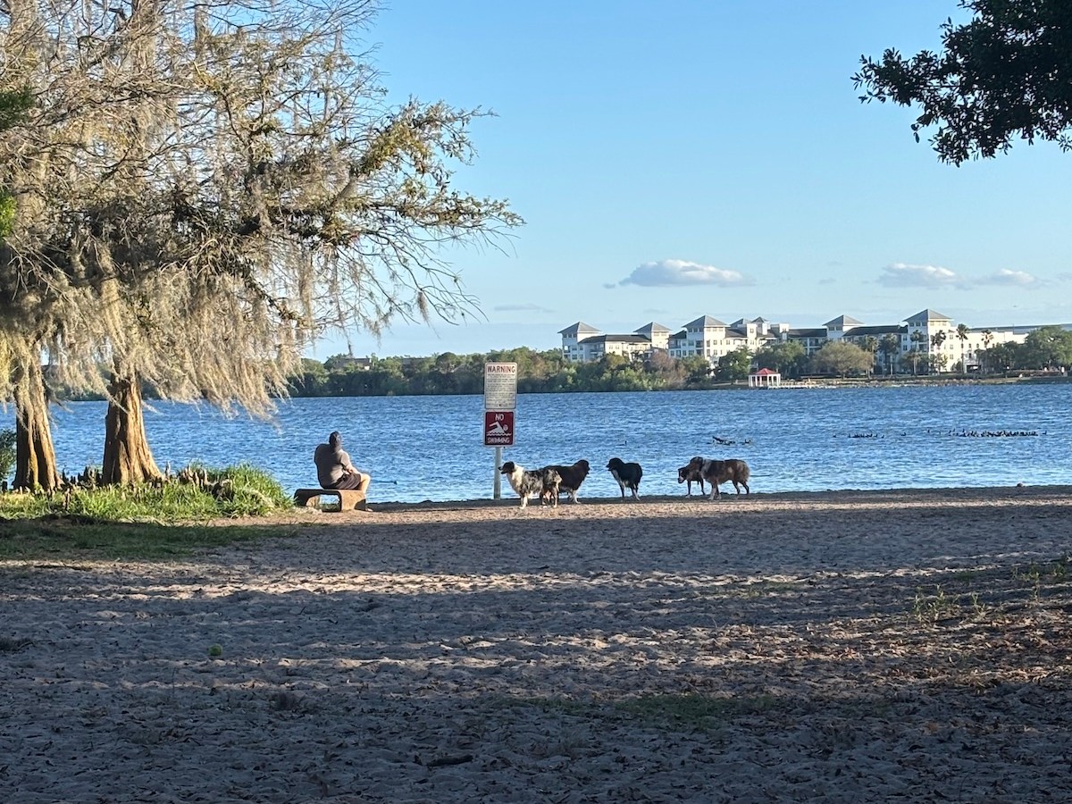 Winter Park scraps plan for paid parking at Lake Baldwin Park