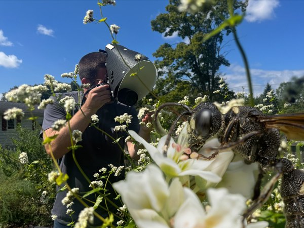 A man takes a photograph surrounded by white flowers and blue sky. A close-up macro photo of a wasp on a white flower is in the foreground.