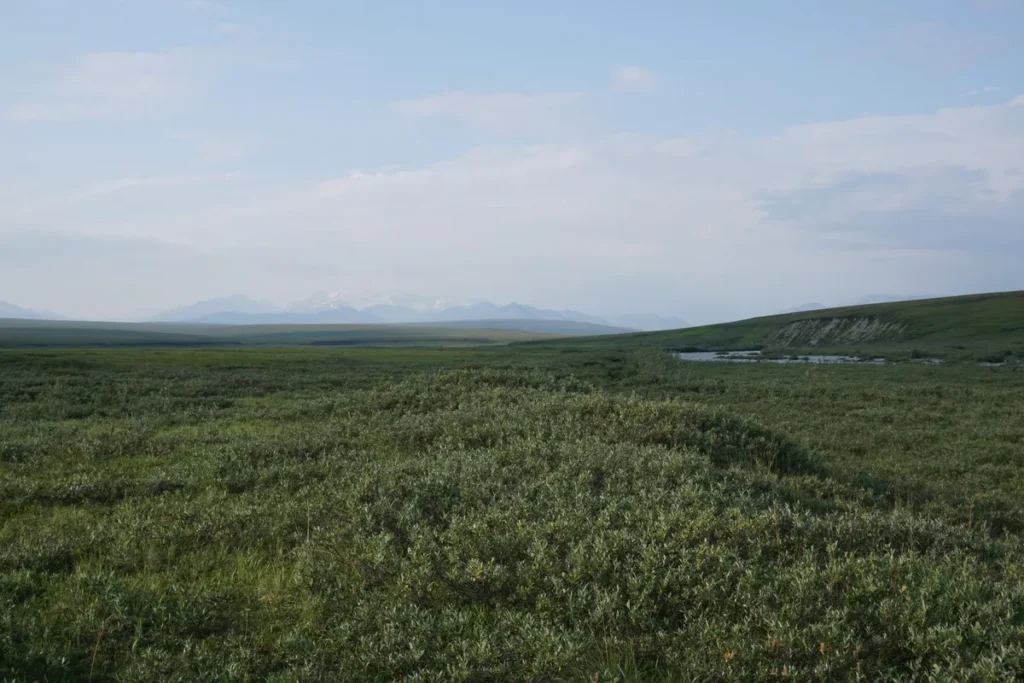 The state of Alaska could spend nearly $200 million on oil exploration, leasing in Arctic refuge