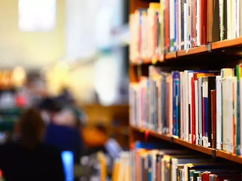 Florida removed more library books than any state last year, says report
