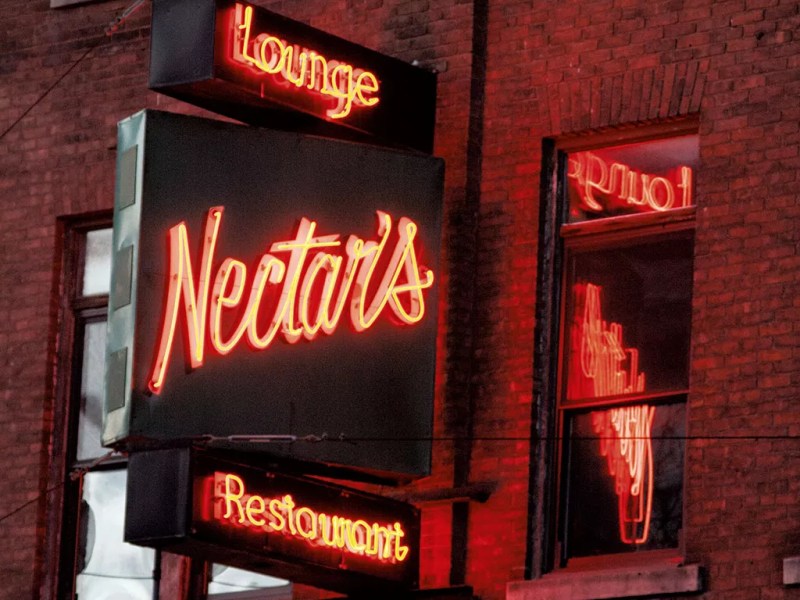Nectar’s, a Burlington Landmark, at 40