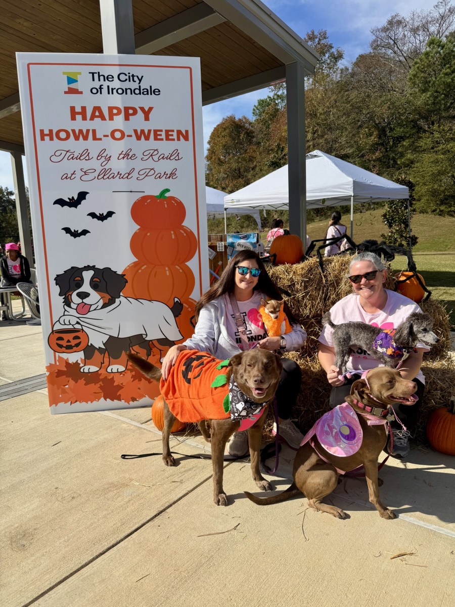 People and dogs in halloween costumes