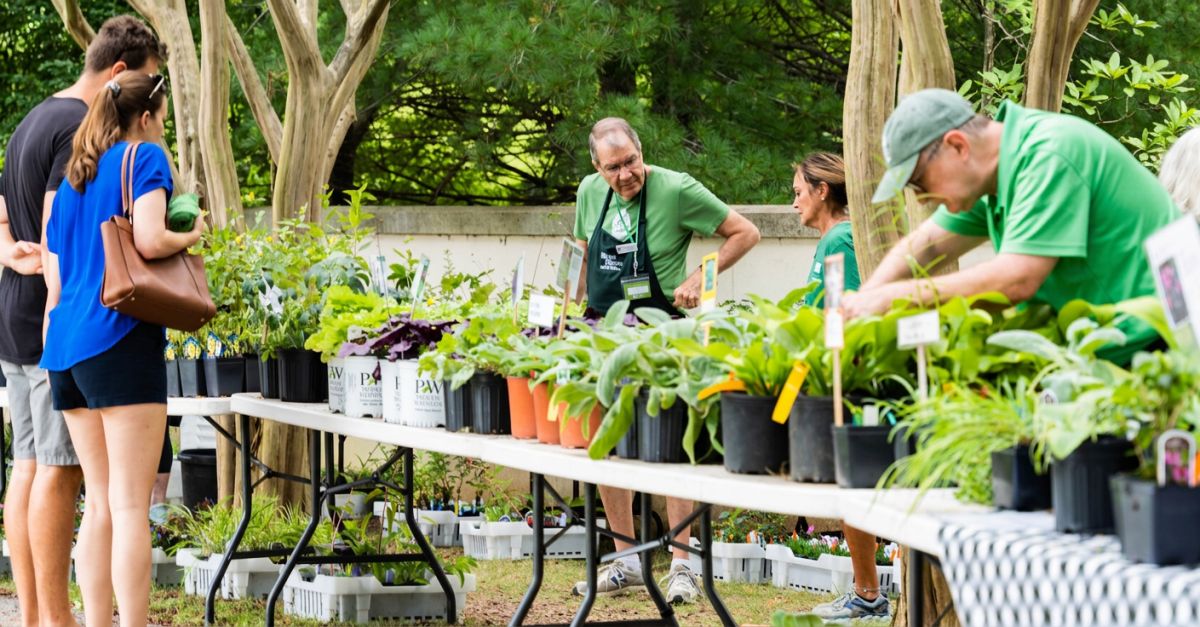 Plant Sale